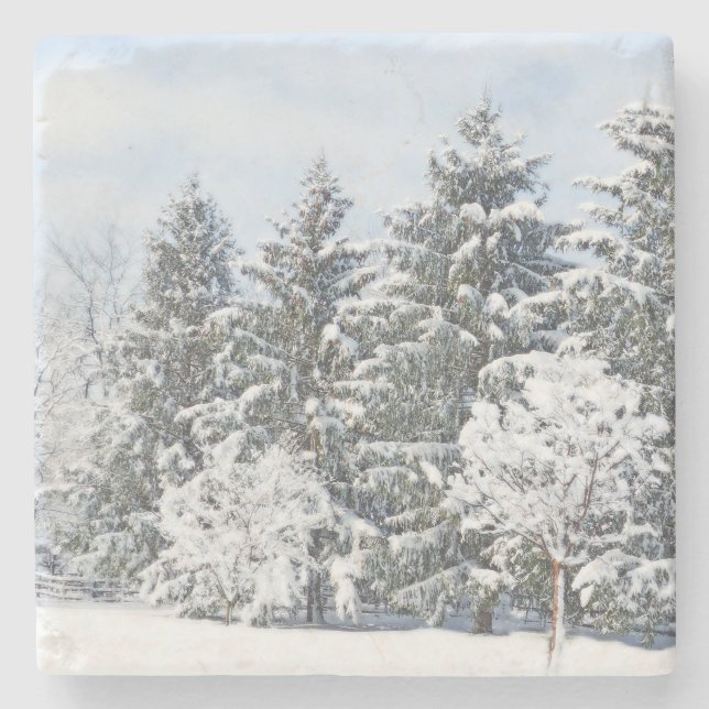 SNOW-COVERED TREES/ MARBLE STONE COASTER (Front)
