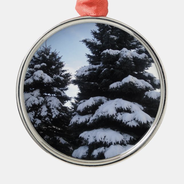 Snow-Covered Trees Ornament (Front)