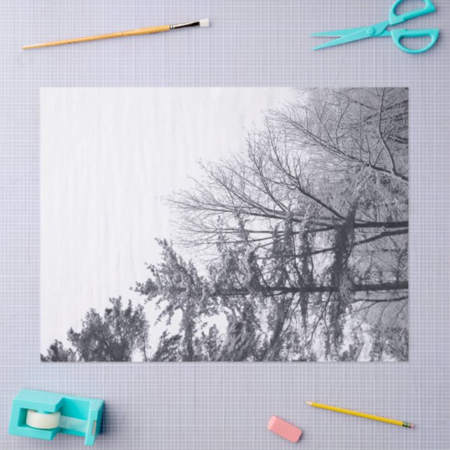 Snow-covered Trees Tissue Paper (Craft)