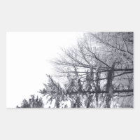 Snow-covered Trees: Vertical