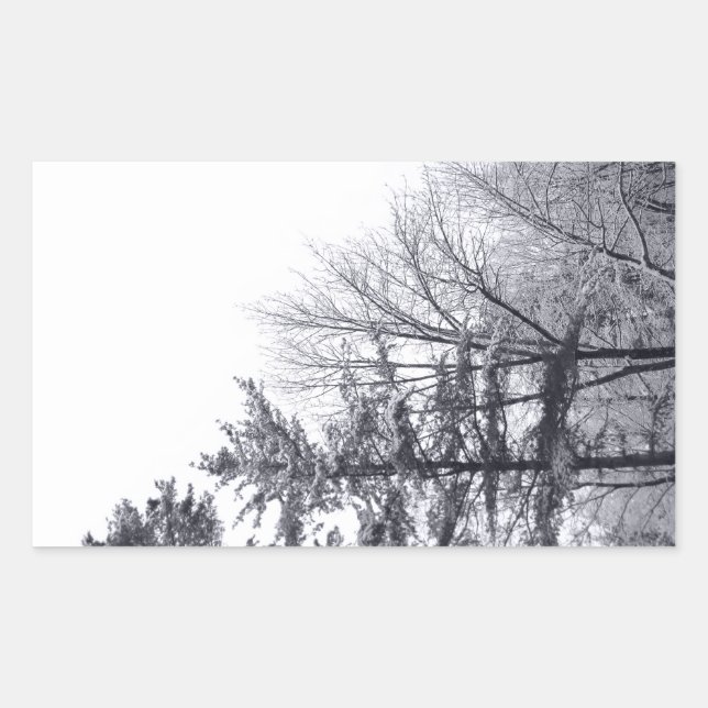 Snow-covered Trees: Vertical Rectangular Sticker (Front)
