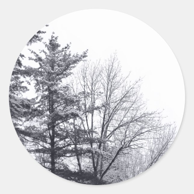 Snow Covered Trees Winter Photo Classic Round Sticker (Front)