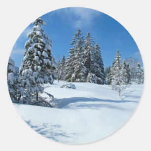 Snow-Covered Trees, Winter Scene Classic Round Sticker