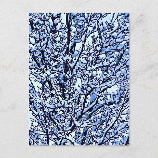 Snow Covered Winter Tree Branches Photo Postcard (Front)