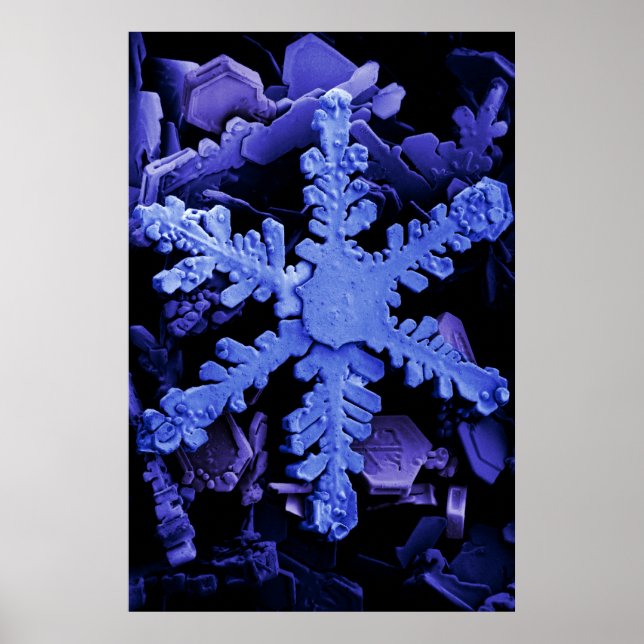 Snow Crystals Poster (Front)