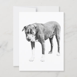 Snow-Day Pit Bull Postcard