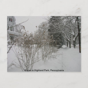Snow Day Postcard