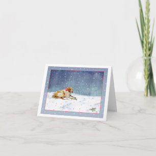 Snow Dog Card