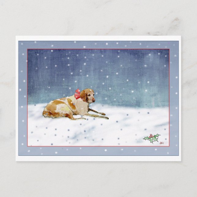 Snow Dog Postcard (Front)