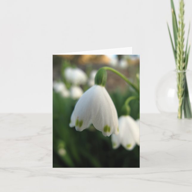 Snow Drop Flower Note card (Front)