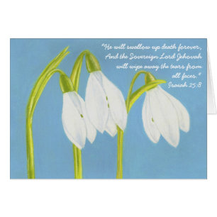 Snow Drops Sympathy Card JW