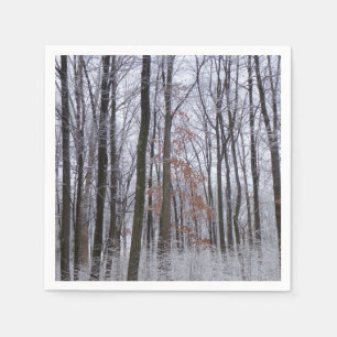 Snow Dusted Forest Winter Landscape Photography Napkin
