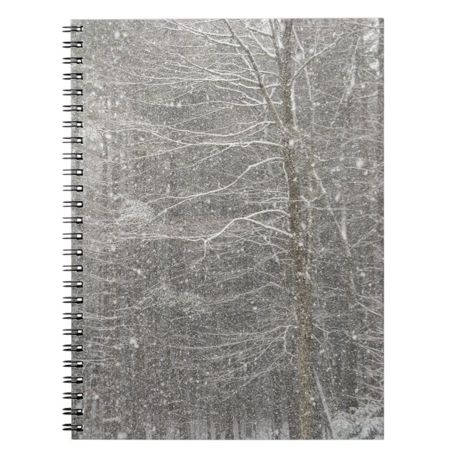 Snow Falling Notebook (Front)