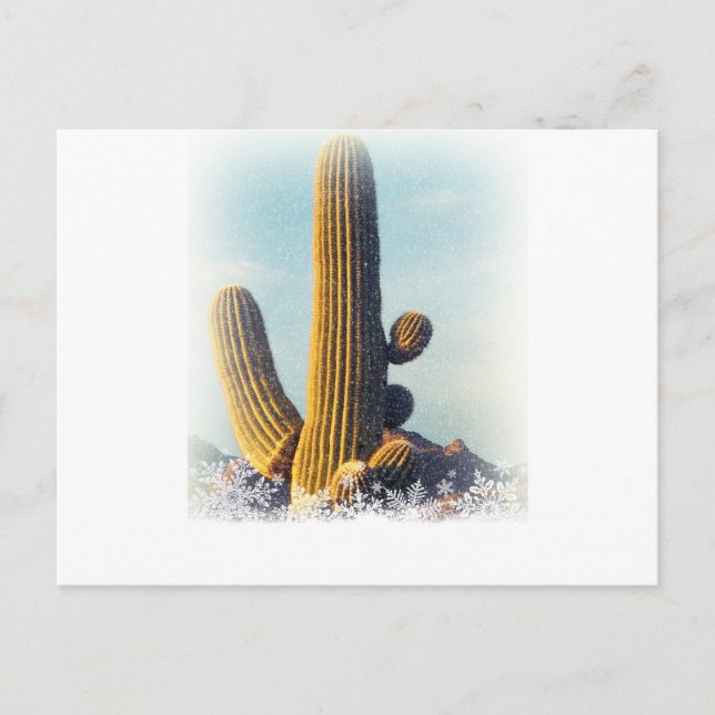 Snow Falling on Saguaro Postcard (Front)