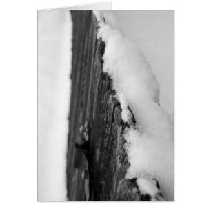 Snow Fence