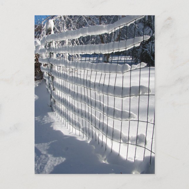 Snow Fence ~ postcard (Front)