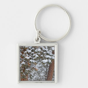 Snow fills the boughs of ponderosa pine trees key ring