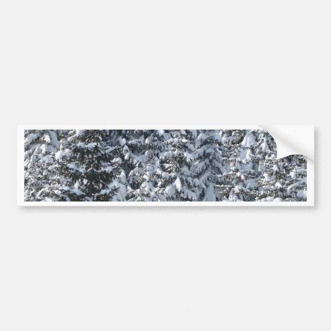 Snow Fir Tree Texture Bumper Sticker (Front)