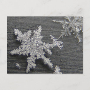 Snow Flake 45 ~ postcard