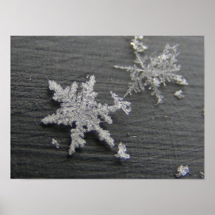 Snow Flake 45 ~ print