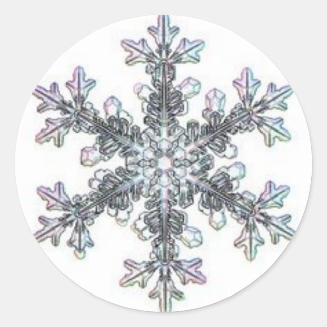 Snow flake classic round sticker (Front)