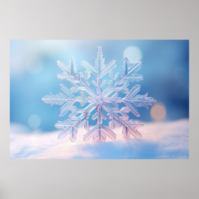 Snow Flake Nature Serene Tranquil Peace Poster (Front)