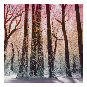 SNOW FOREST NATURE POSTER