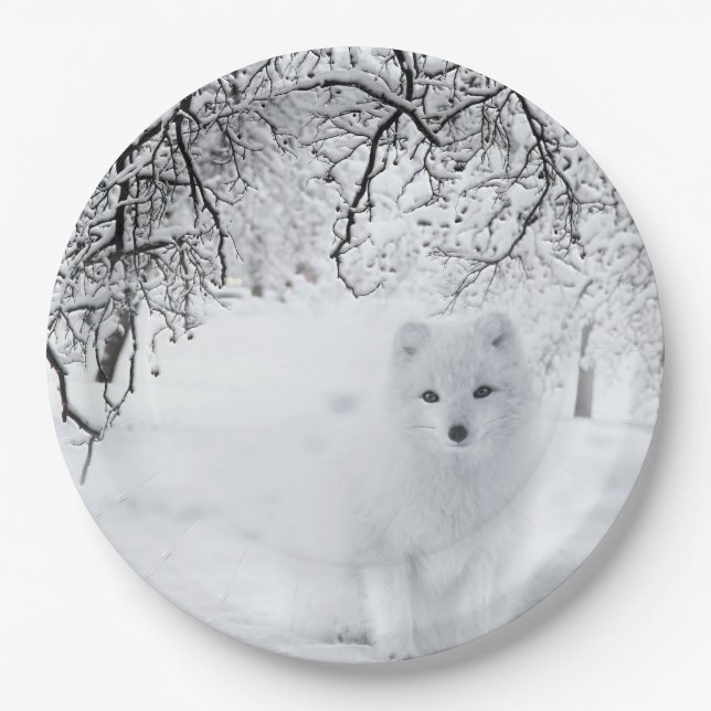 Snow Fox in Winter Woods Paper Plate (Front)