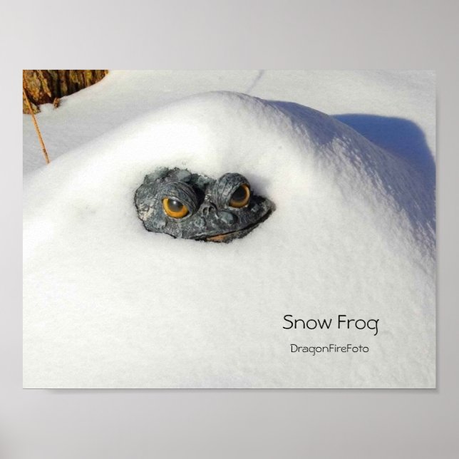 snow frog poster (Front)