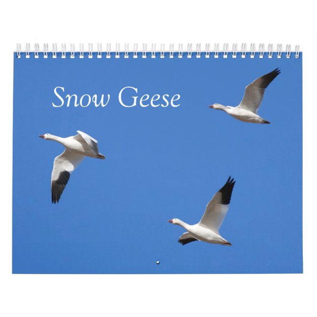 Snow Geese Custom Printed Calendar (Cover)
