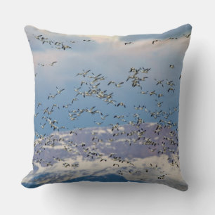 Snow geese during spring migration cushion