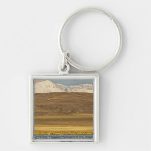 Snow geese during spring migration key ring