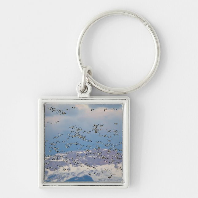 Snow geese during spring migration key ring (Front)