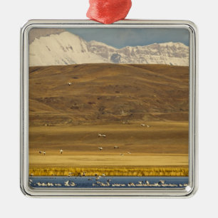 Snow geese during spring migration metal tree decoration