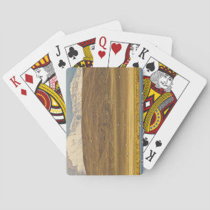 Snow geese during spring migration playing cards
