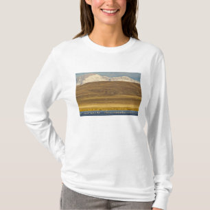 Snow geese during spring migration T-Shirt