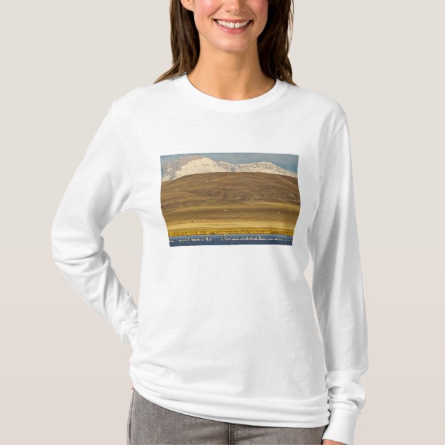 Snow geese during spring migration T-Shirt (Front)