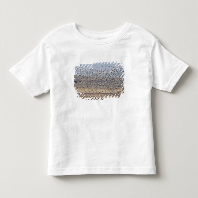 Snow geese during spring migration toddler T-Shirt (Front)