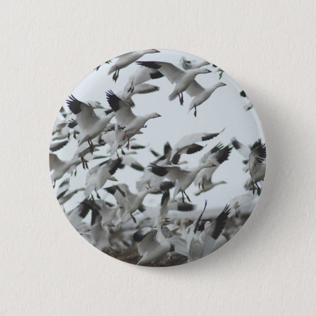 Snow Geese Migration 6 Cm Round Badge (Front)
