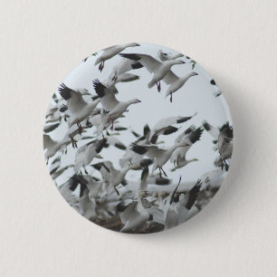 Snow Geese Migration 6 Cm Round Badge