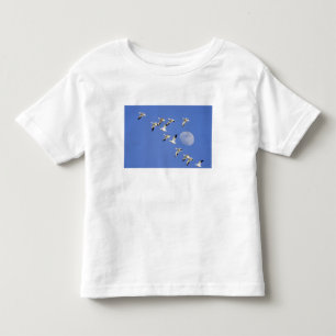 Snow geese take flight at Freezeout Lake NWR Toddler T-Shirt