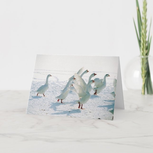 Snow Geese Xmas Holiday Christmas Blank Inside (Front)