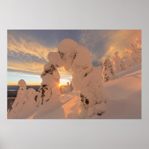 Snow Ghosts In The Whitefish Range Poster
