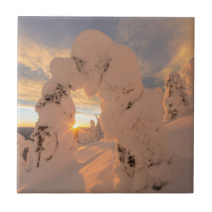 Snow Ghosts In The Whitefish Range Tile