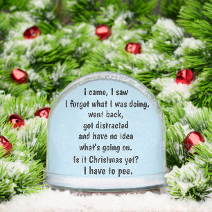 Snow Globe Getting Old Humor