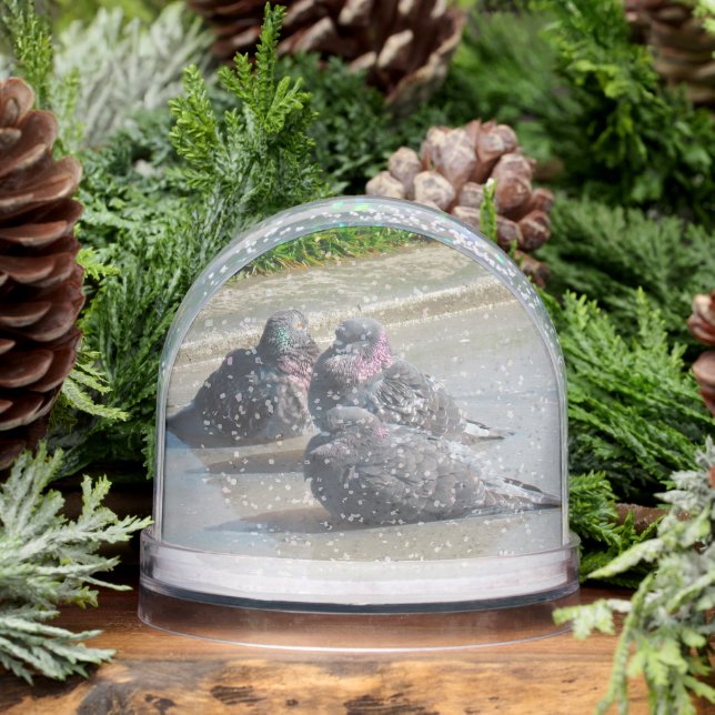 Snow Globe - Pigeons (Winter)