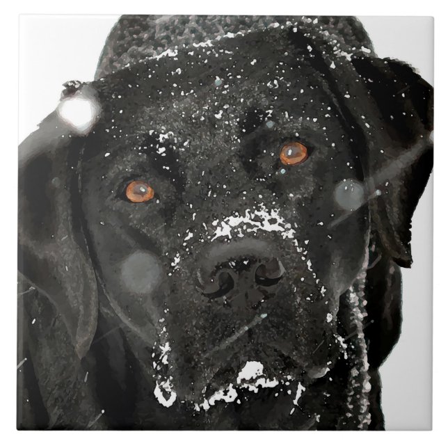 Snow Globe - Snow Dog - Black Labrador Ceramic Tile (Front)