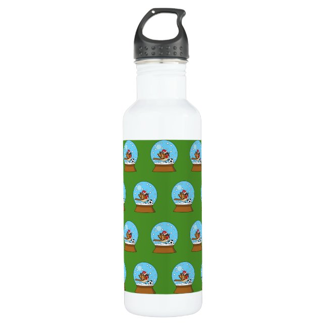 Snow Globe with Cute Sparrow Playing Soccer 710 Ml Water Bottle (Front)