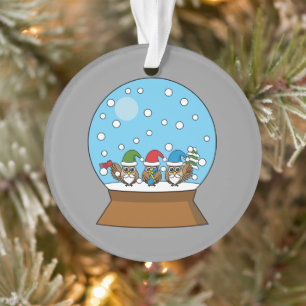 Snow Globe with Three Gnome Owls Ornament