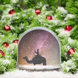 Snow Globes Snowglobe